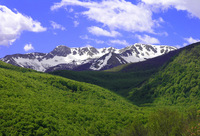 abruci